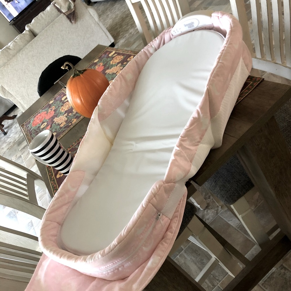 Snuggle Nest Baby Delight Harmony infant sleeper